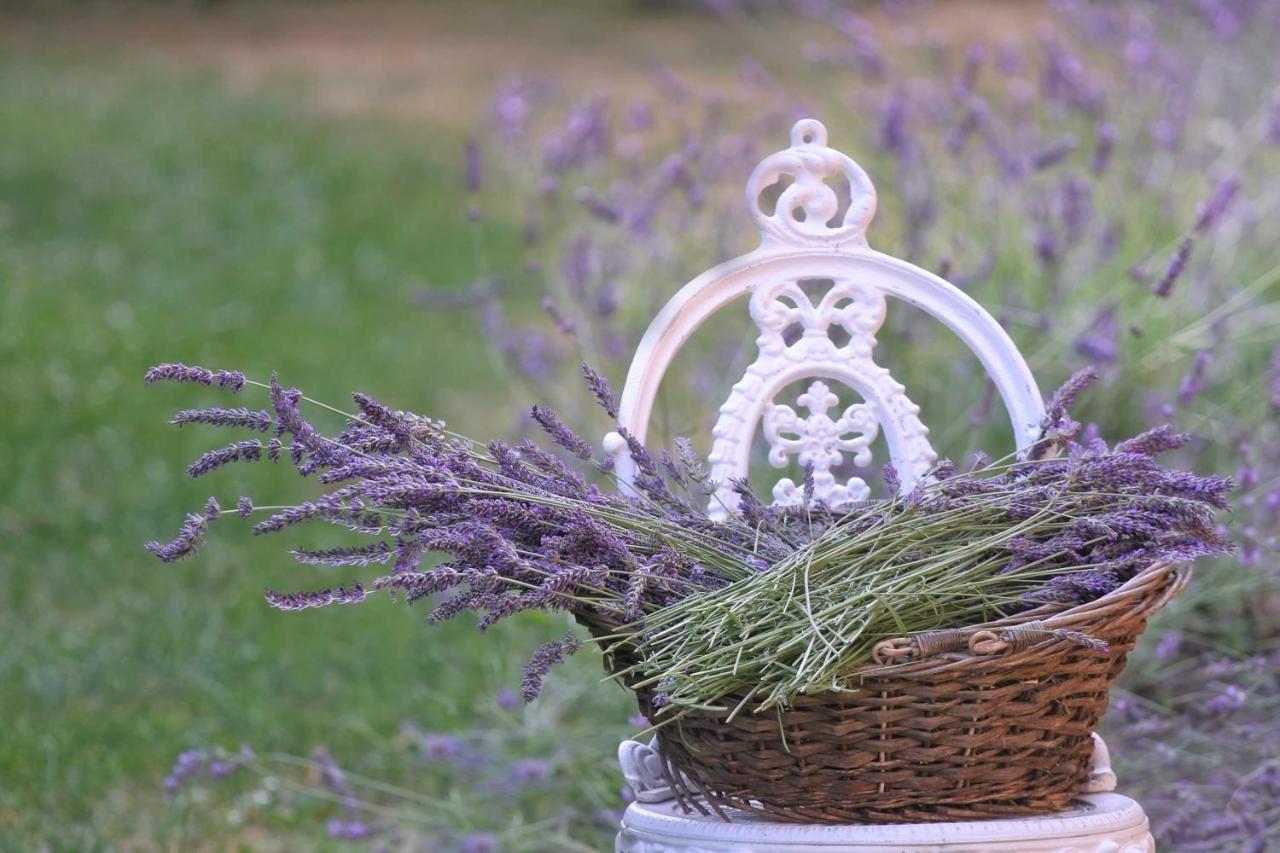 Toscana Апартаменти *